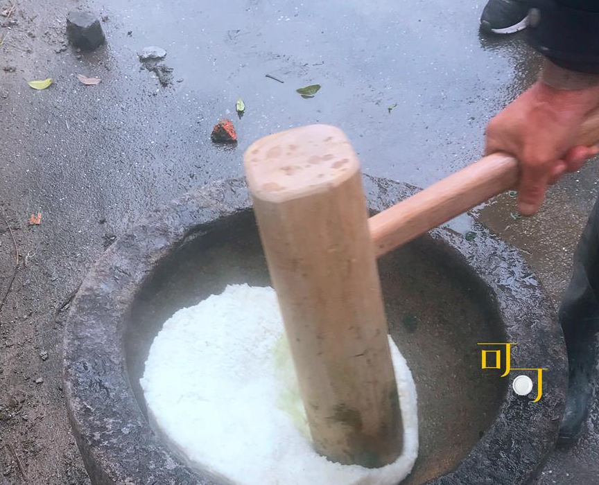 清明节外出摘草莓挖野菜收获不少太多好吃的你都尝过吗