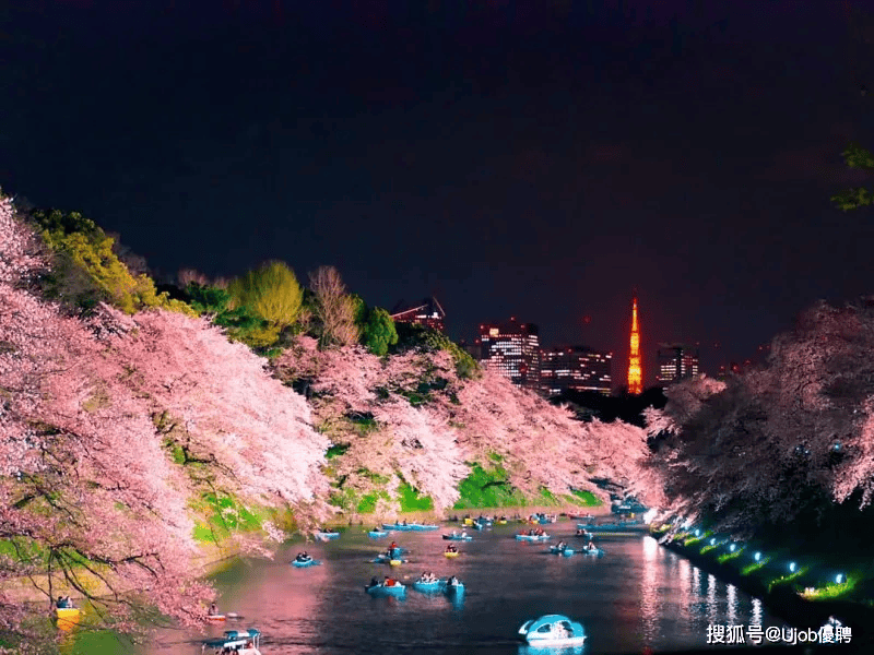 公园_东京_景点