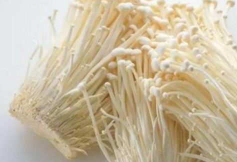 原创4种金针菇的做法经期到底能不能吃金针菇