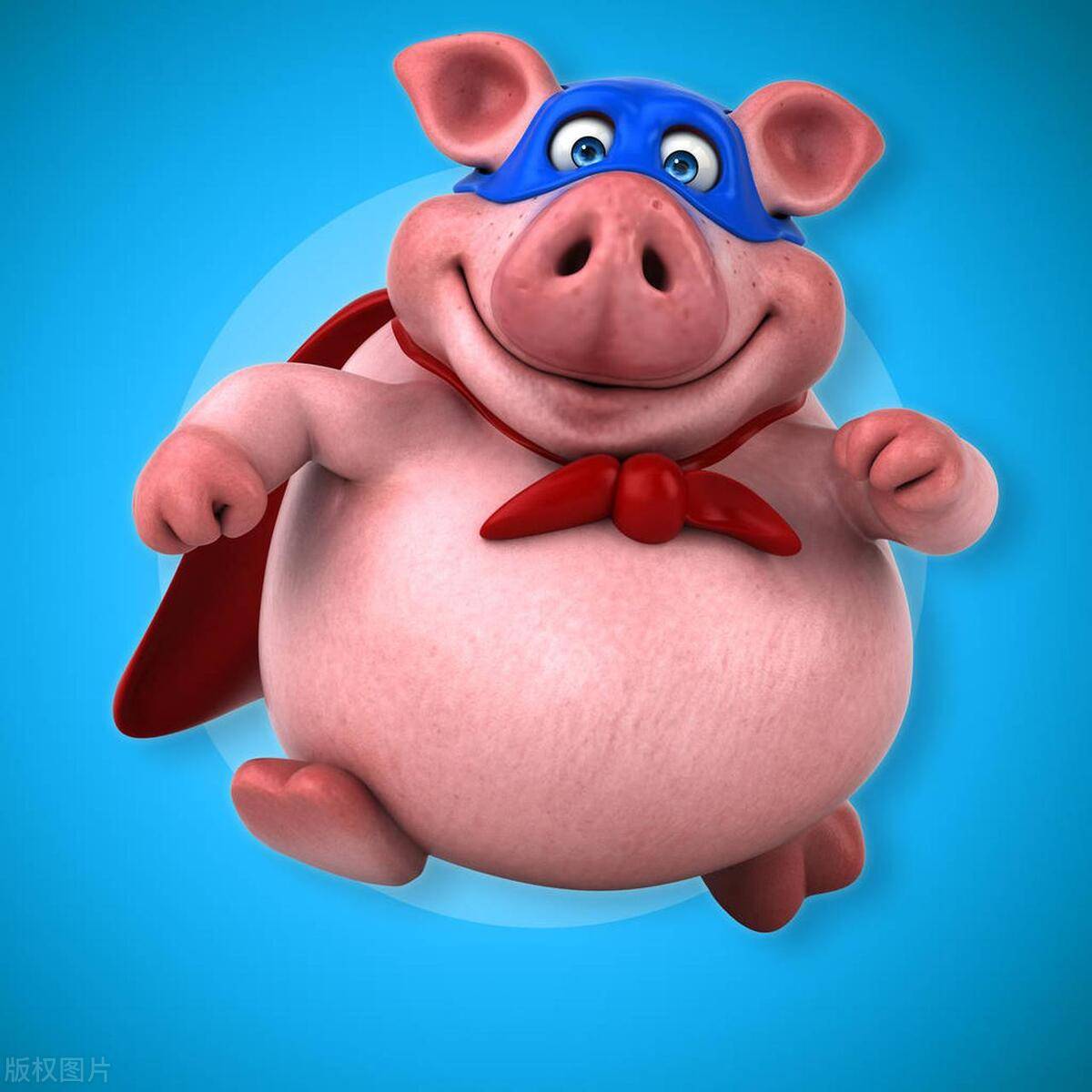 原创亥猪熬过这几个年龄段你将迎来上上签走向巅峰