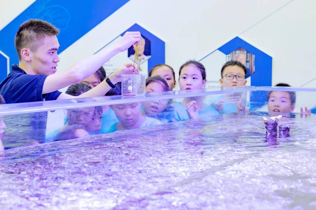 2024斯坦星球星球研学蓝色星球海洋生物研究院科考营