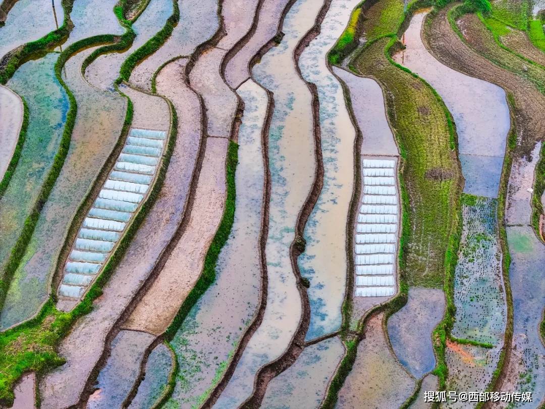 美丽绥江,金沙江畔夫人坝:梯田蓄水待插秧