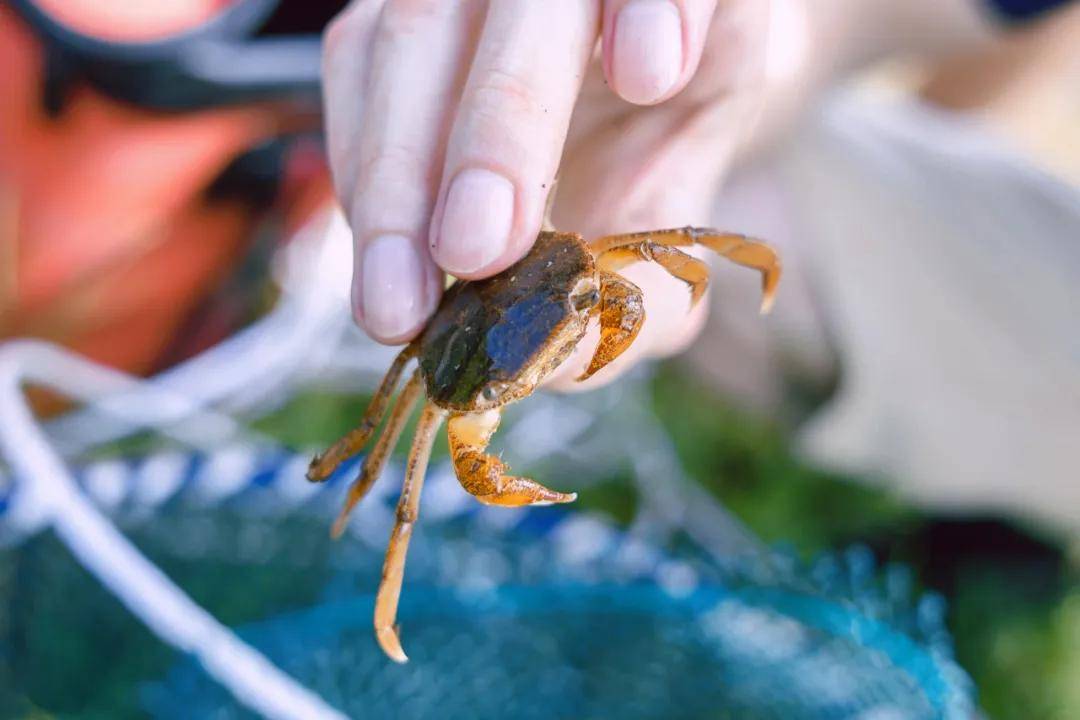 2024斯坦星球星球研学蓝色星球海洋生物研究院科考营