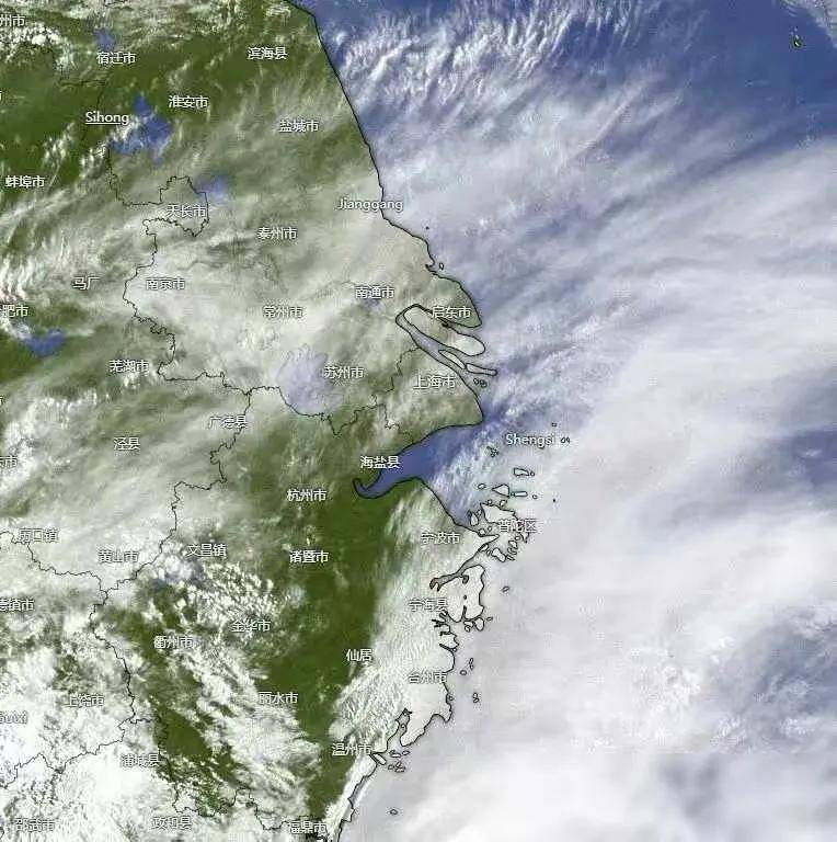 喜讯今明两天4月89日上海阴雨绵绵迎喜雨春暖意浓