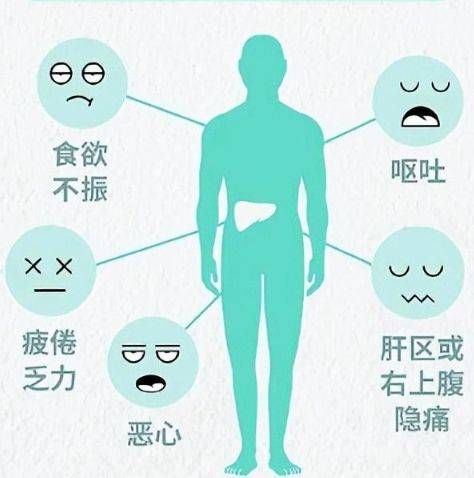 脂肪肝究竟要如何吃?记住这几条饮食原则_食物_肝脏_症状