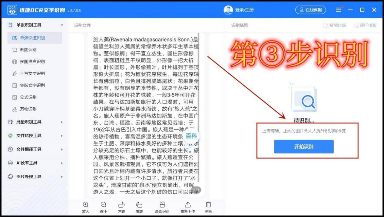 如何识别图片文字在线提取3种平台识别方法分享