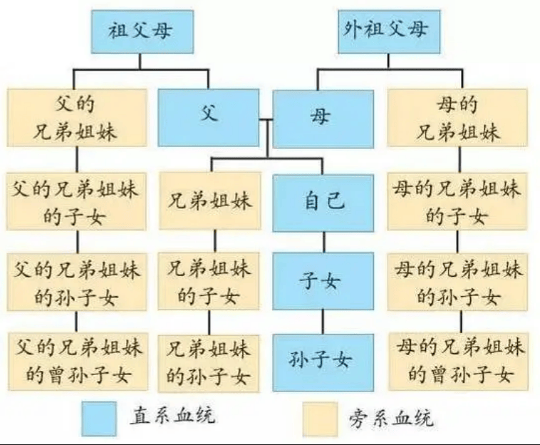 繁殖后代的方式图片