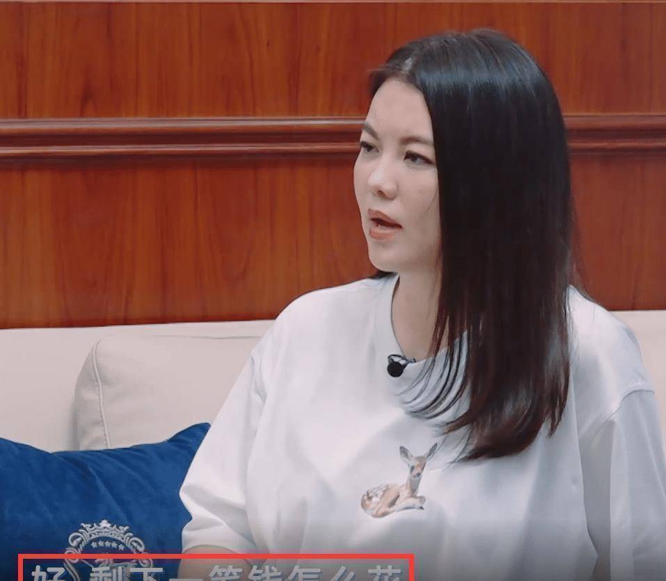 李湘王岳伦开家庭财务会议突然冒出一句话全场嘉宾们炸锅了
