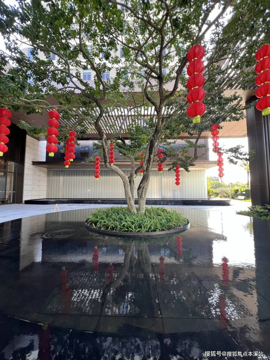 因接待问题限流请提前一天预约鹏园,在"深圳最后的桃花源"大鹏半岛上