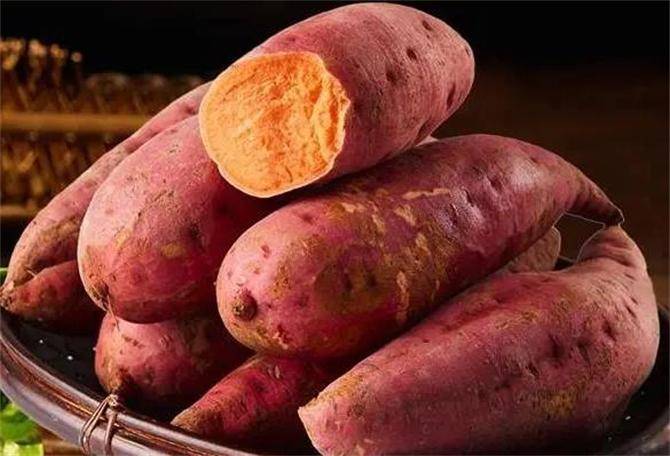 番薯和红薯有区别吗如何区分红薯不同品种的红薯到底怎么吃