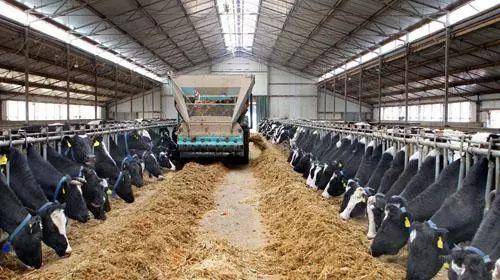 畜牧业革命生物技术能带来什么