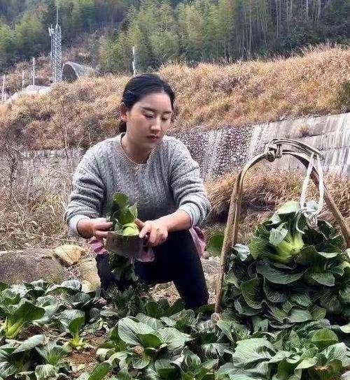 原创从分手带娃到粉丝千万乡愁沈丹究竟是如何逆袭成功的