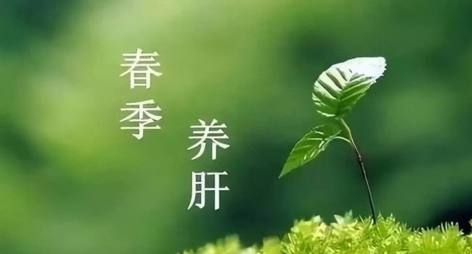 养肝第一水果:沙棘守护肝脏的绿意使者_原浆_大自然_果实