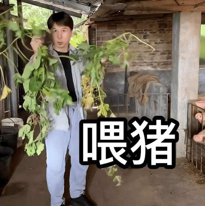 30年后再看李连杰版倚天才发现电影中隐藏了10位内地演员