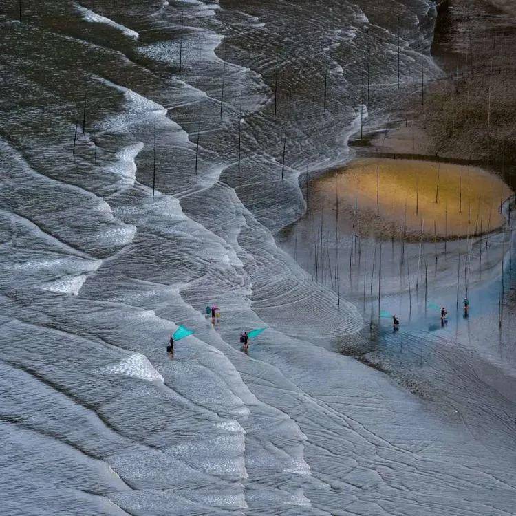 逆光下拍摄这片滩涂时,镜头中那一条条从沙滩上流淌过的溪水,化作蜿蜒