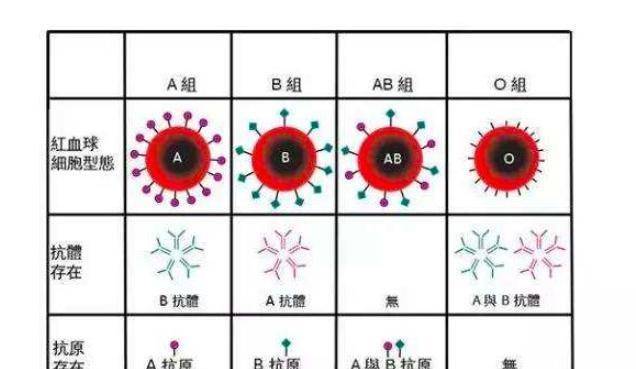 员表示,这位女士的血型存在abo等位基因的突变,从而产生了a3亚型血