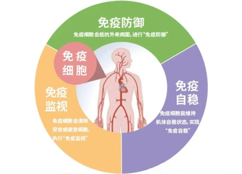 2021世界免疫周图片