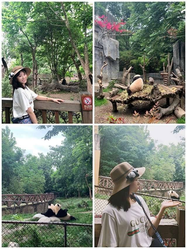 可选择去看漫山野花还可以骑行桑堆到稻城看一路格桑花.