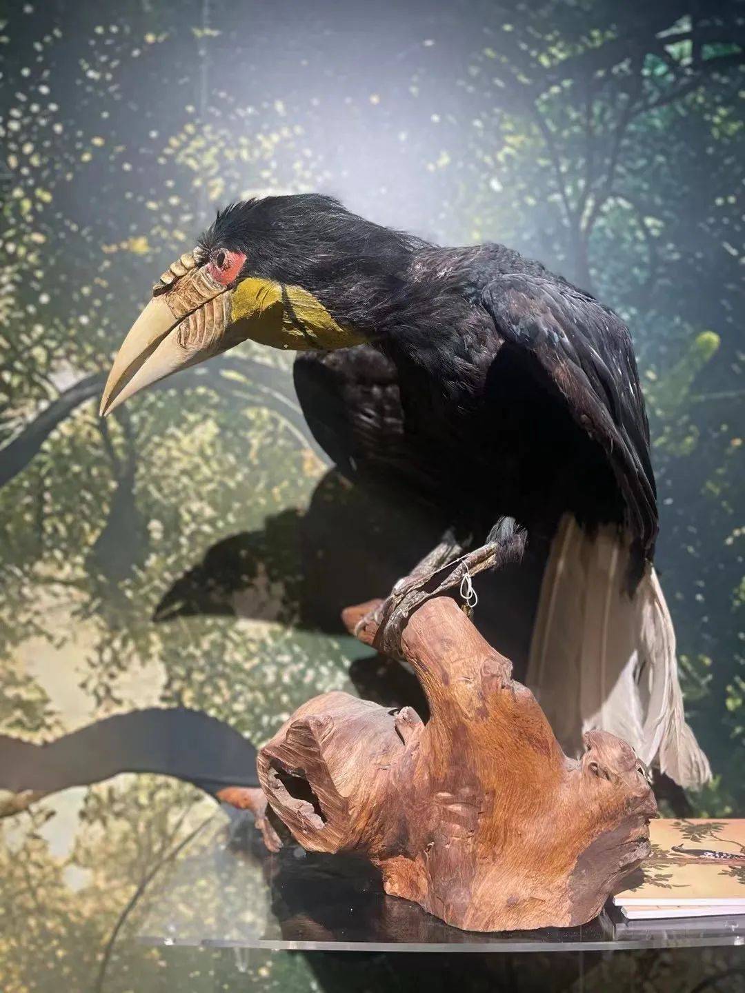 1080_1440竖版 竖屏