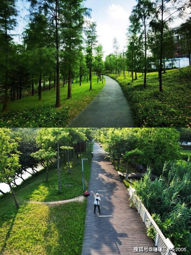 原创广州天河地铁直达湿地公园山地及水塘改造踏青好地方无门票
