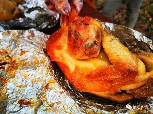 肉鸡_味道_饲料