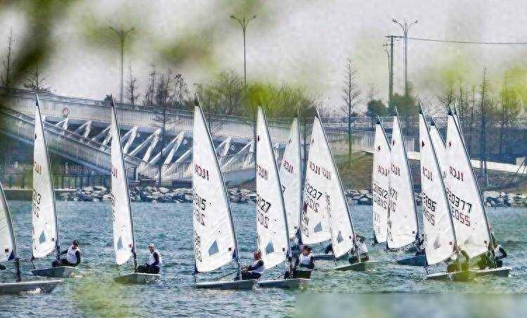 奥运选手同台竞技,上帆搭建高水平赛事舞台_帆船_比赛_顾敏