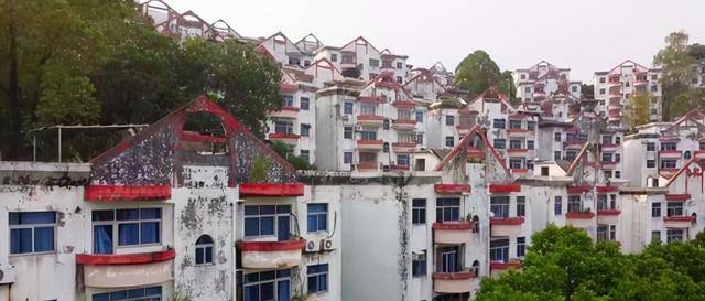 原创她是北大研究生50岁回广州养老如今住在烂尾楼自己开荒种菜