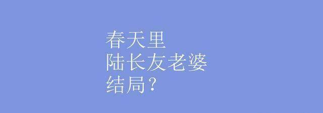 原创春天里陆长友老婆结局春天里主要讲了什么
