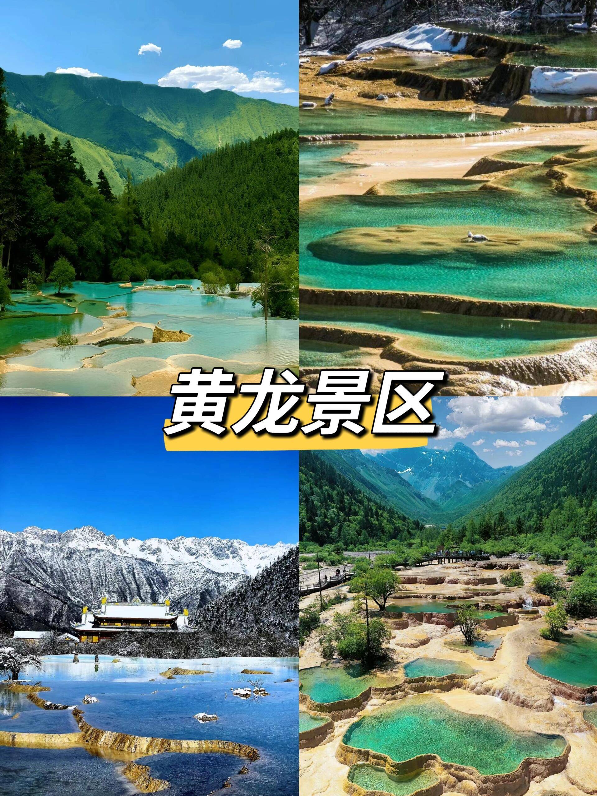 成都黄龙4天3夜跟团旅游去去九寨沟旅游四天人均多少请收藏