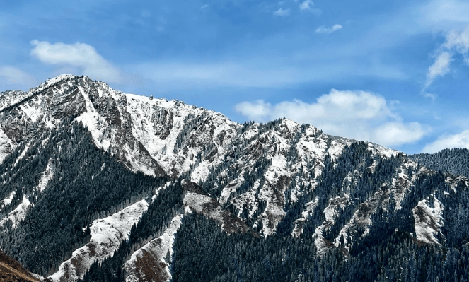 喀什_民丰_新疆