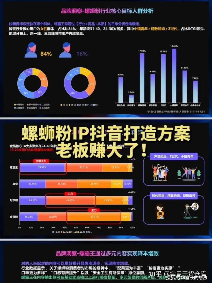 抖音ip打造品牌规划流量运营方案推广计划书