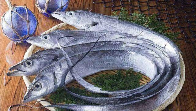 原创东山岛带鱼你们就是馋我的身子