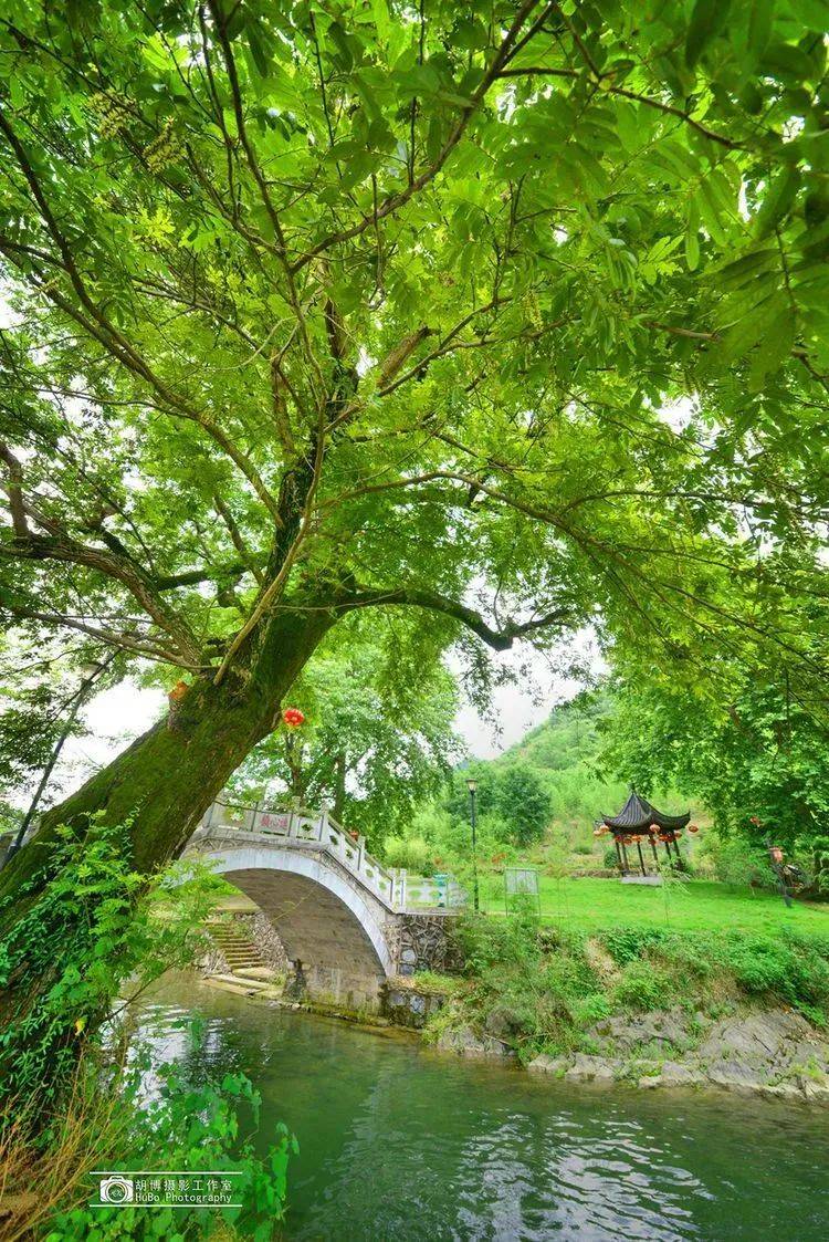 的群山环抱,朦胧的云雾缭绕,处处皆是"薄荷曼波"元素~"池上碧苔三四点