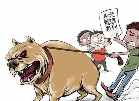有一位宝妈说自己也是一个爱狗人士,每次出门的时候都会带着歉意声