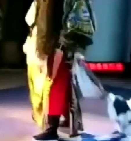 舞台演出时狗狗拽着主人衣角铲屎的带我一起