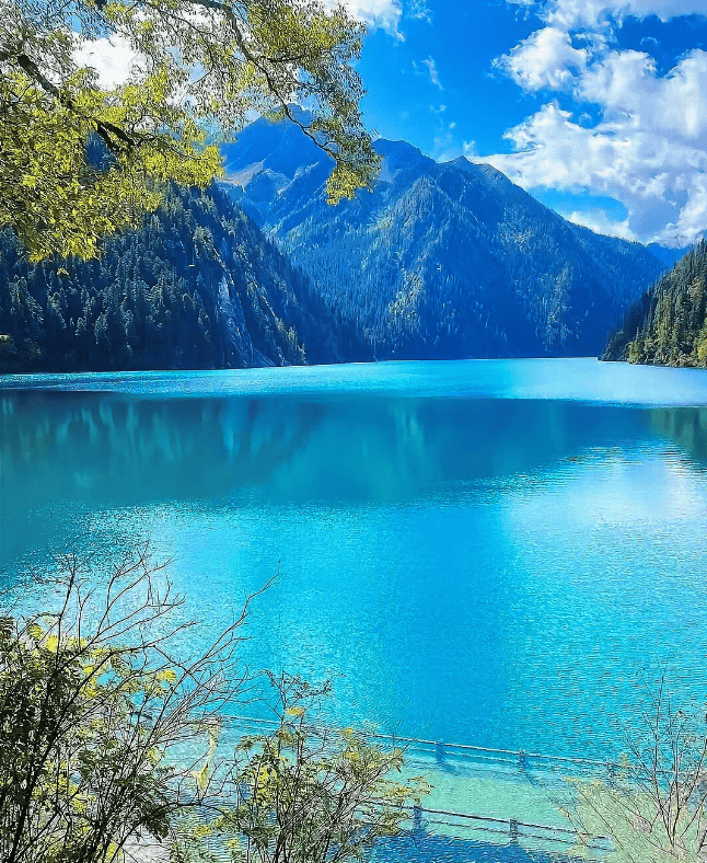 四川旅游7日游团费多少阿坝州九寨沟七天跟团攻略如何省钱避坑