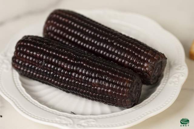 黑玉米是转基因玉米吗?