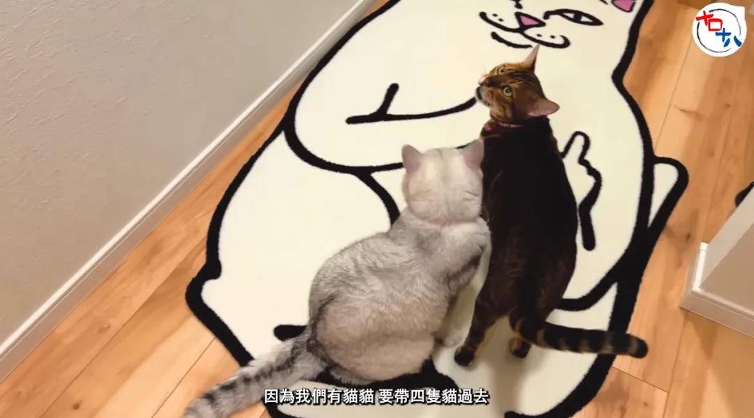 女儿一句话就让这对香港夫妇放弃一切移居大阪从零出发开菠萝包店