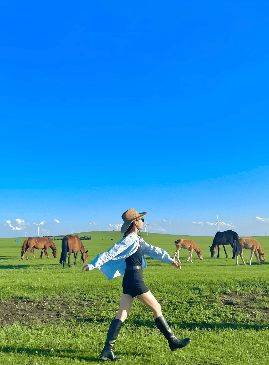 去内蒙古大草原旅游攻略内蒙古旅游费用需要多少