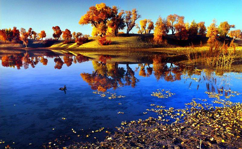 去一次新疆拉拉提草原人均花费多少钱指南来了