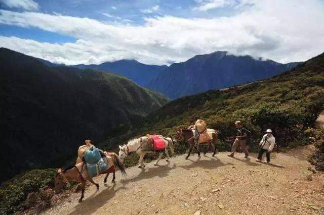 登山存在着争议不断,但1996年的日本京都大学登山队,还是再次小心翼翼