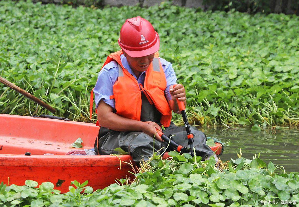 植保工如何报考报考条件及流程考取证书有什么优势