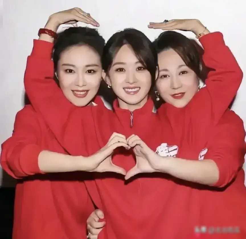 原创无妄之灾知名编剧亲自下场喊话赵丽颖粉丝戏别那么多