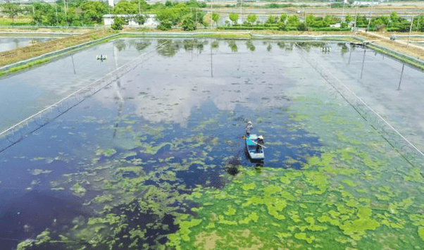 水质检测：守护我们的生命之源