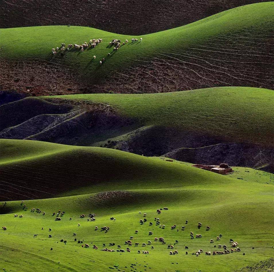 草原_喀纳斯_禾木村