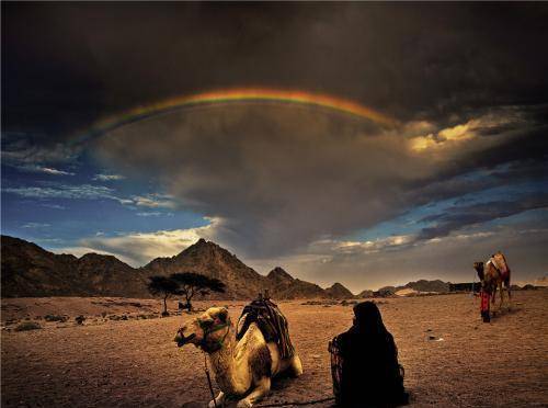 原创曾是四大文明古国之一埃及如何沦落为如此贫弱