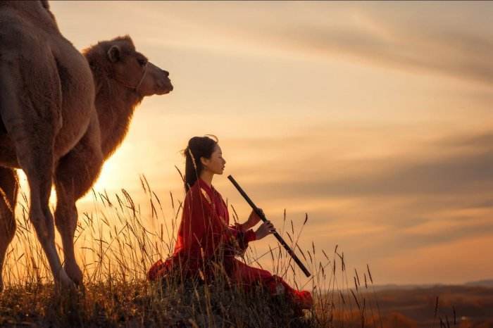 呼伦贝尔大草原跟团游费用呼伦贝尔大草原五日游多少钱