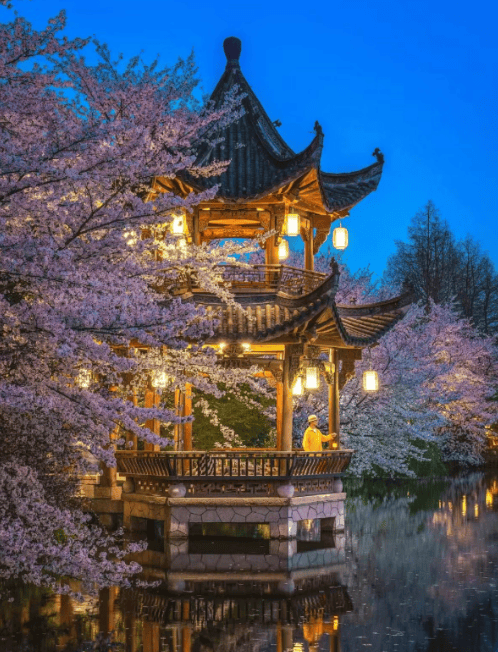 杭州三日游怎么报名？杭州三日游价格杭州3日游跟团