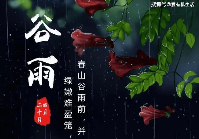 谷雨贴符图片