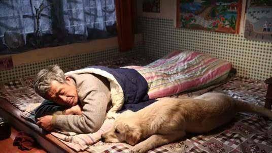 梦境中的温情与责任,解读梦见别人家出事,奶奶领回被遗弃的狗的寓意 梦境中的温情与责任,解读梦见别人家出事,奶奶领回被遗弃的狗的寓意